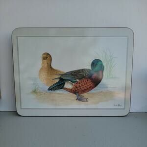 Vtg Jason Products Cork Placemats Charles McKenzie Ducks Set Of 5 New Zealand